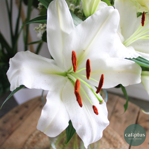 Bouquet Rose Blanche Lys et sa Bougie Offerte Livraison de bouquets de fleurs pas cher caliptus