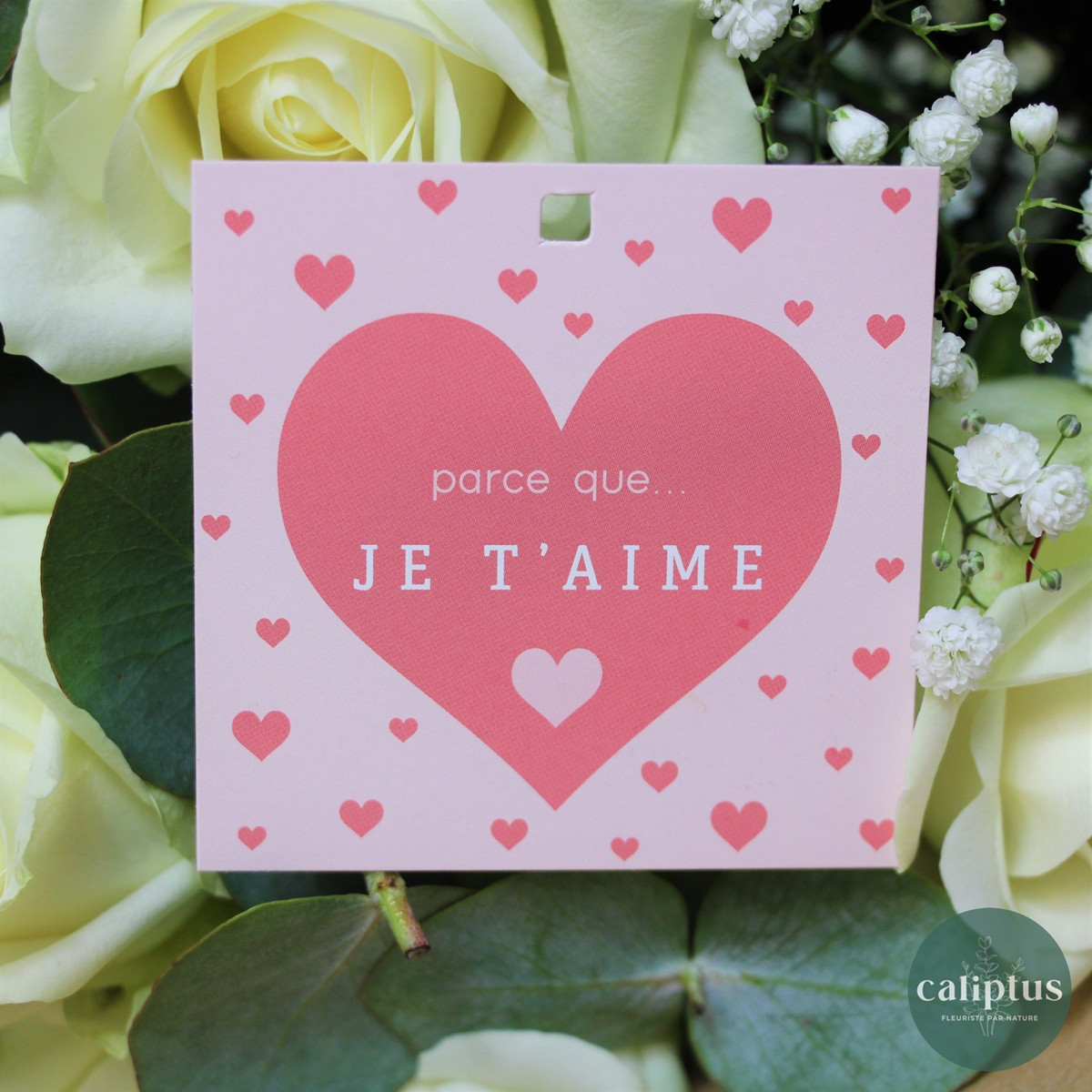 8/ Parce que...Je t'aime