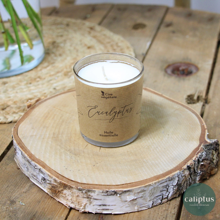 Bougie Parfum Eucalyptus Senteur pas cher caliptus