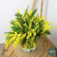 Bouquet de Mimosa Livraison de bouquets de fleurs pas cher caliptus