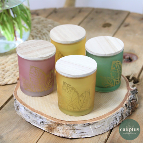 Bouquet chic L et sa bougie Livraison de Fleurs coupées pas cher caliptus