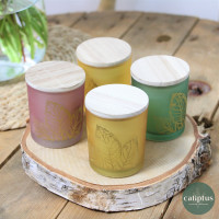 Bouquet chic L et sa bougie Livraison de Fleurs coupées pas cher caliptus