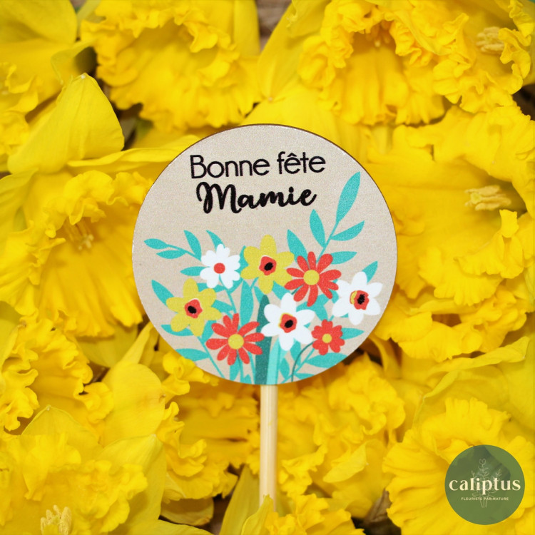 Pic Déco "Bonne fête Mamie" Pics pas cher caliptus