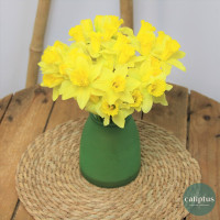 Bouquet de Narcisse - Livraison Incluse Livraison de bouquets de fleurs pas cher caliptus