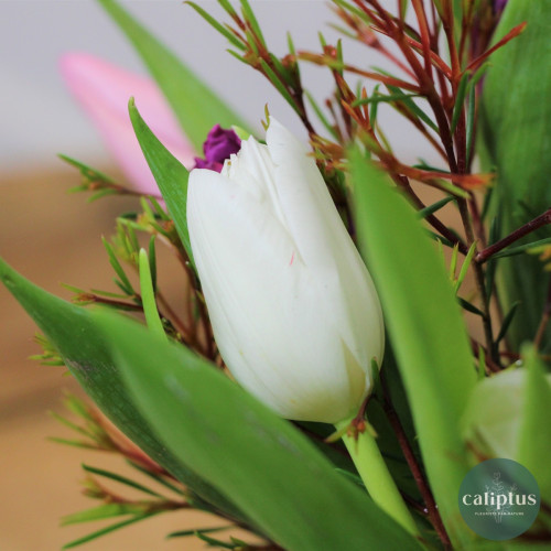 Bouquet de Saison Livraison de bouquets de fleurs pas cher caliptus