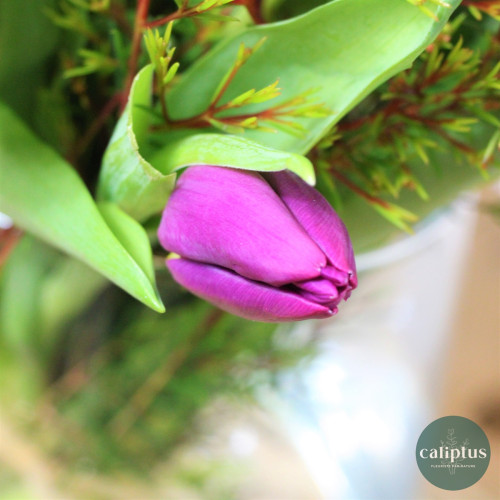 Bouquet de Saison Livraison de bouquets de fleurs pas cher caliptus
