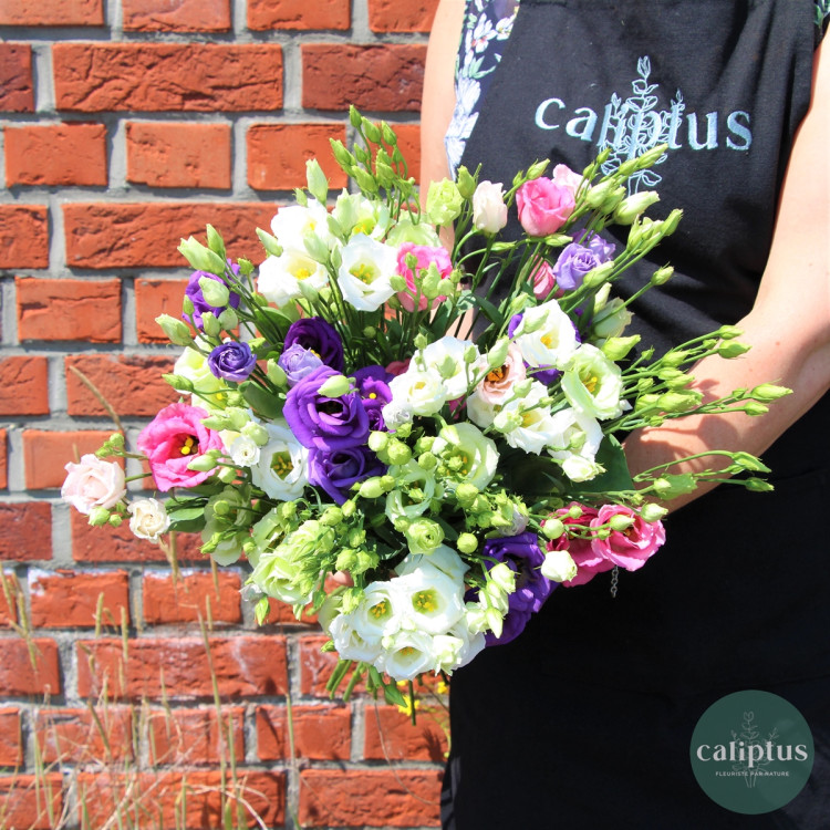 Bouquet de Lisianthus Livraison de bouquets de fleurs pas cher caliptus