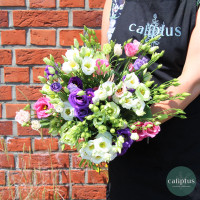 Bouquet de Lisianthus Livraison de bouquets de fleurs pas cher caliptus