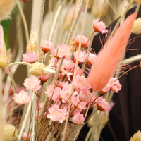 Le Bouquet Douceur et sa bougie offerte Fleurs séchées pas cher caliptus