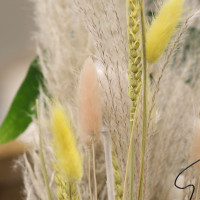 Le Bouquet Doré et sa bougie offerte Fleurs séchées pas cher caliptus