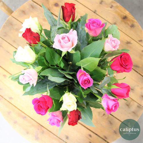 Bouquet de 20 Roses variées - Livraison Incluse Livraison de Fleurs coupées pas cher caliptus