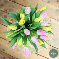 Bouquet de Tulipes Livraison de bouquets de fleurs pas cher caliptus