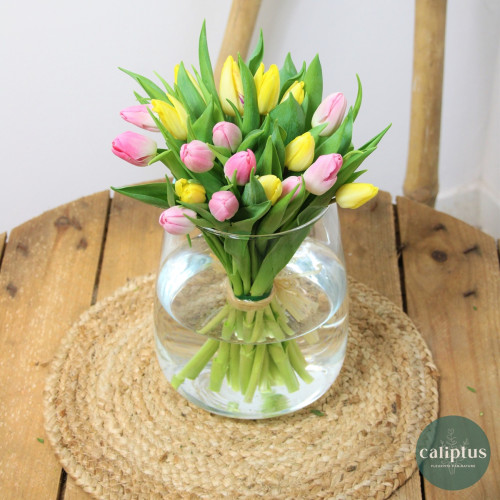 Bouquet de Tulipes Livraison de bouquets de fleurs pas cher caliptus