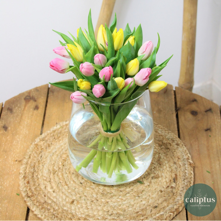 Bouquet de Tulipes Livraison de bouquets de fleurs pas cher caliptus