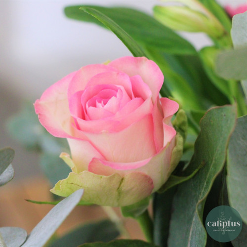 Bouquet Champêtre M - Livraison Incluse Livraison de Fleurs coupées pas cher caliptus