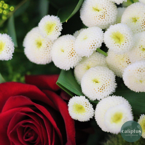 Bouquet Champêtre L Livraison de Fleurs coupées pas cher caliptus