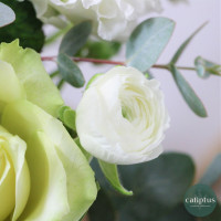 Bouquet chic XL Livraison de Fleurs coupées pas cher caliptus
