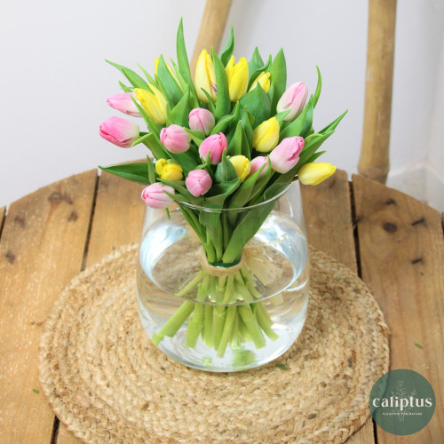 Bouquet de 50 tulipes pour 49,90€( livraison inclus) Livraison de bouquets de fleurs pas cher caliptus