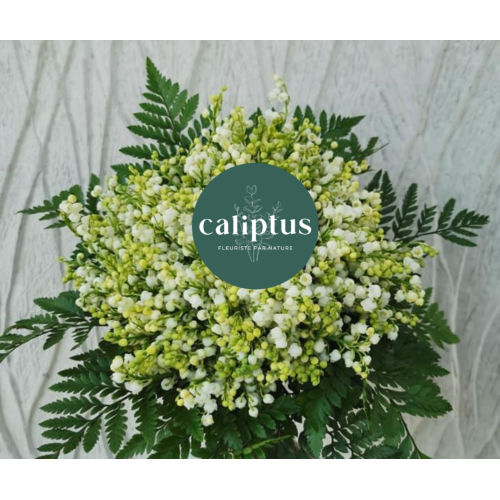 Bouquet Brins de Muguet Livraison de bouquets de fleurs pas cher caliptus