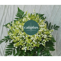 Bouquet Brins de Muguet Livraison de bouquets de fleurs pas cher caliptus