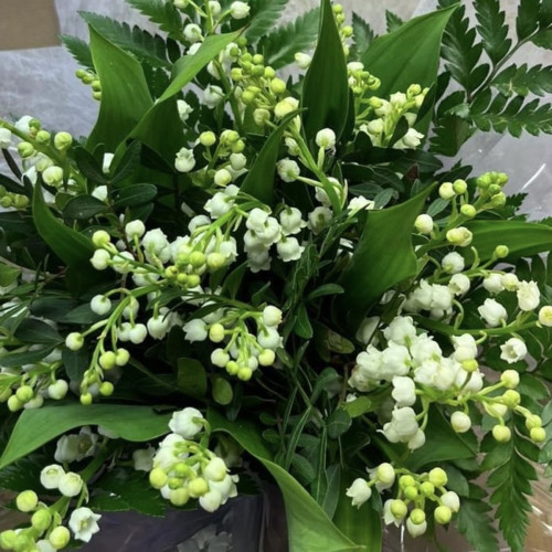 Bouquet Brins de Muguet Livraison de bouquets de fleurs pas cher caliptus