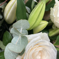 Bouquet Naissance Livraison de Fleurs coupées pas cher caliptus