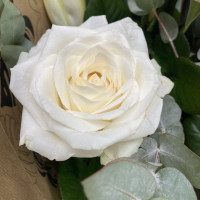 Bouquet Naissance Livraison de Fleurs coupées pas cher caliptus