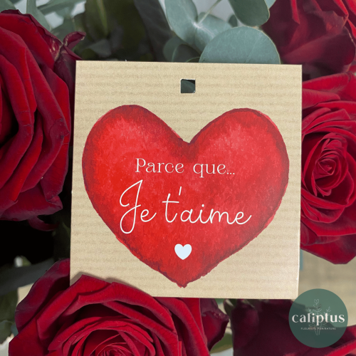 Carte message Carte pas cher caliptus