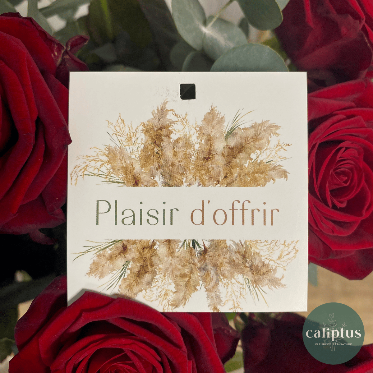 1/ Plaisir d'offrir