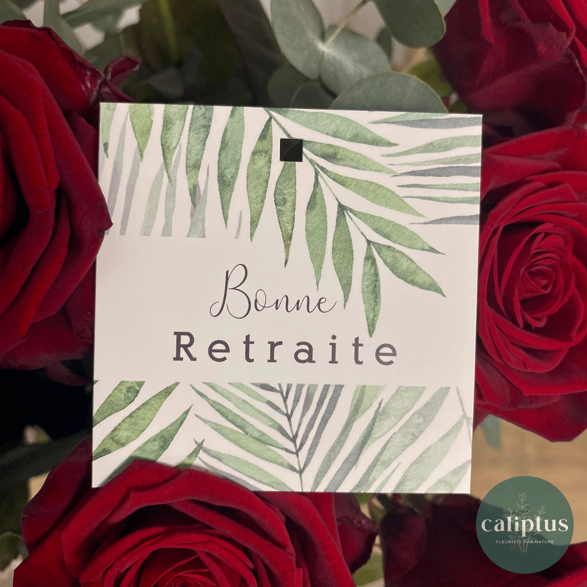 10/ Bonne retraite