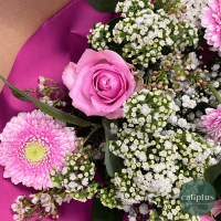 Pack Bouquet et sa Carte cadeau Livraison de bouquets de fleurs pas cher caliptus
