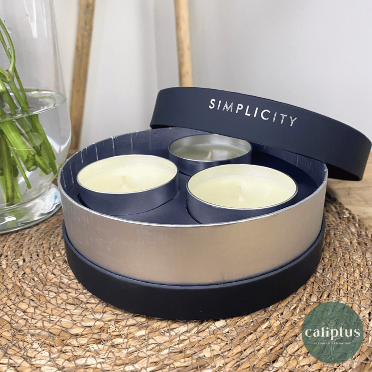 Coffret de 3 Bougies “Simplicity” Noir Senteurs pas cher caliptus