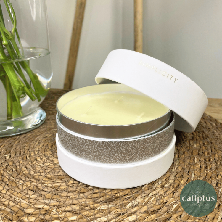 Coffret Bougie "Simplicity" Blanc Senteurs pas cher caliptus