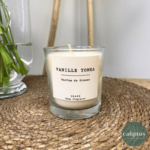Bougie Parfum Vintage Senteurs pas cher caliptus