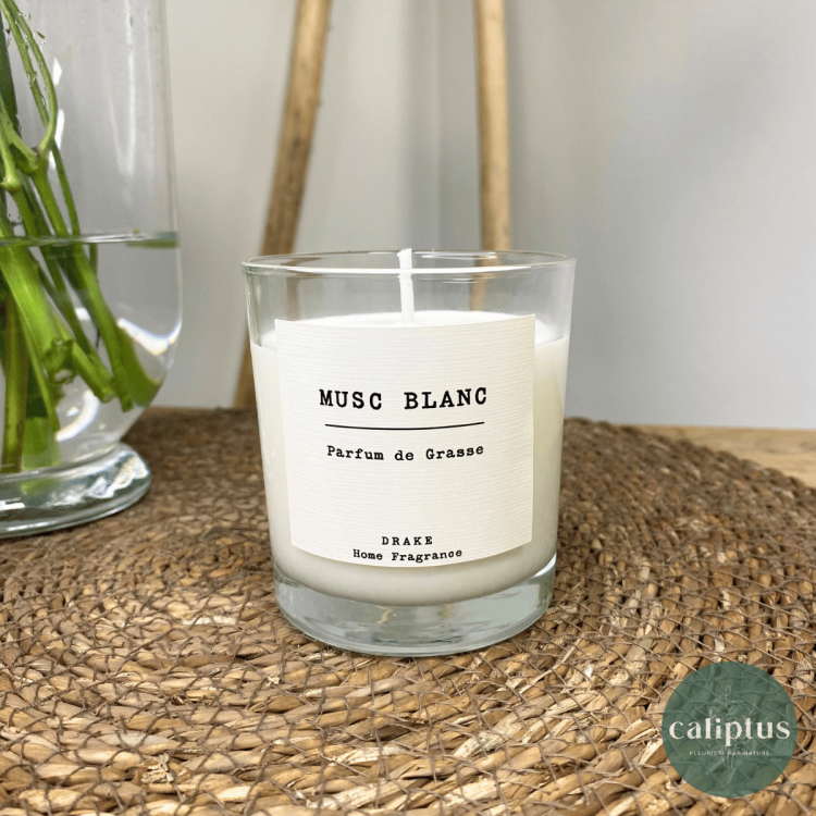 Bougie Parfum Vintage Senteurs pas cher caliptus