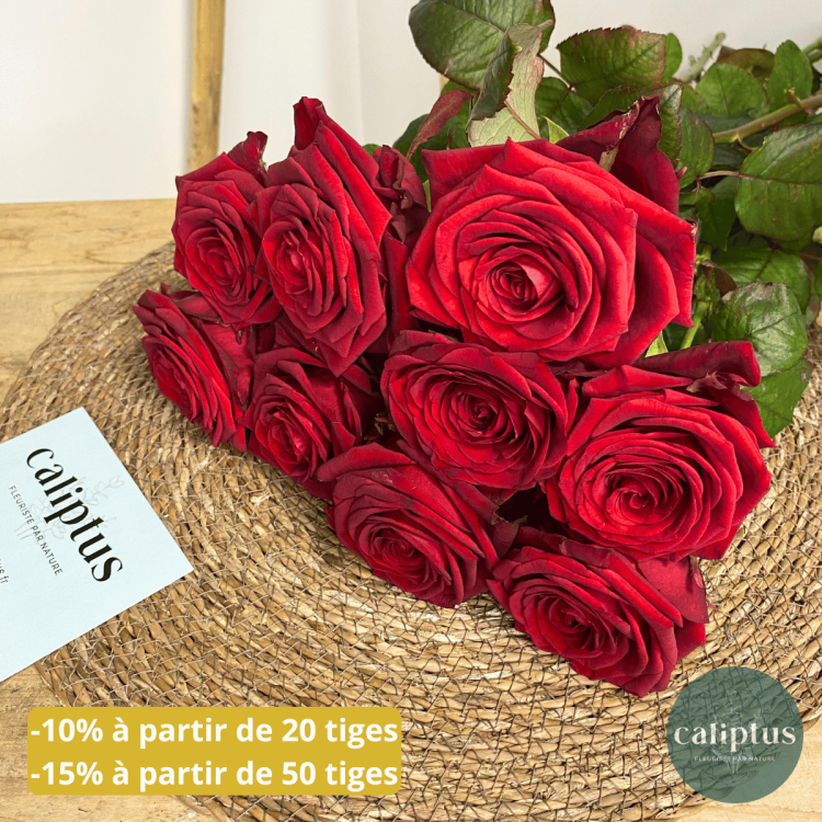 Rose Rouge à la tige Composez votre bouquet en ligne pas cher caliptus
