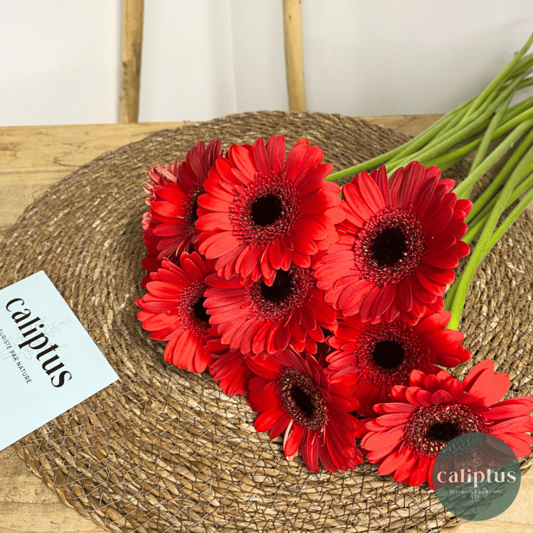 Germini rouge à la Tige Composez votre bouquet en ligne pas cher caliptus