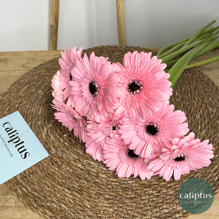 Germini rose à la Tige Composez votre bouquet en ligne pas cher caliptus