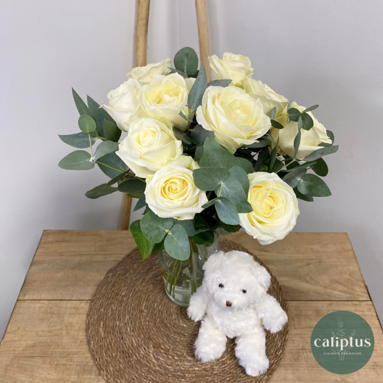 Bouquet Naissance Livraison de Fleurs coupées pas cher caliptus