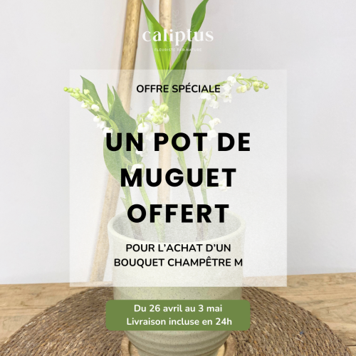 Bouquet Champêtre M - Livraison Incluse Livraison de Fleurs coupées pas cher caliptus