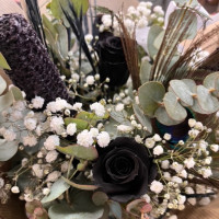 Bouquet Mystère d'Ébène Fleurs séchées pas cher caliptus