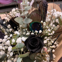 Bouquet Mystère d'Ébène Fleurs séchées pas cher caliptus