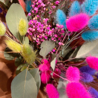 Bouquet Rêve Coloré Fleurs séchées pas cher caliptus