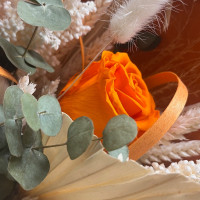 Bouquet Douceur d’Ambre Fleurs séchées pas cher caliptus