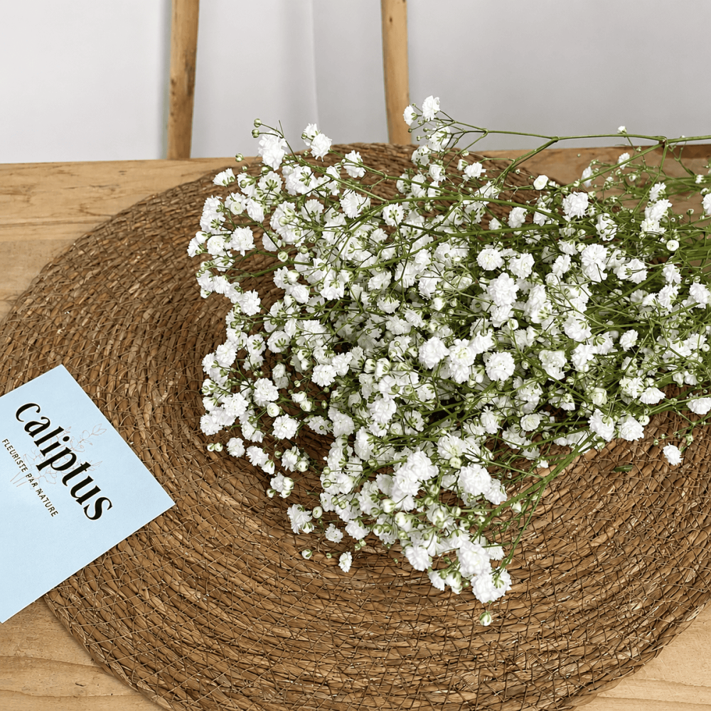 Gypsophile blanc à la Tige Composez votre bouquet en ligne pas cher caliptus