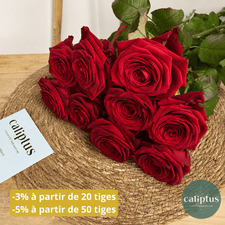 Rose Rouge à la tige Composez votre bouquet en ligne pas cher caliptus