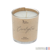 Bougie Parfum Eucalyptus Senteur pas cher caliptus
