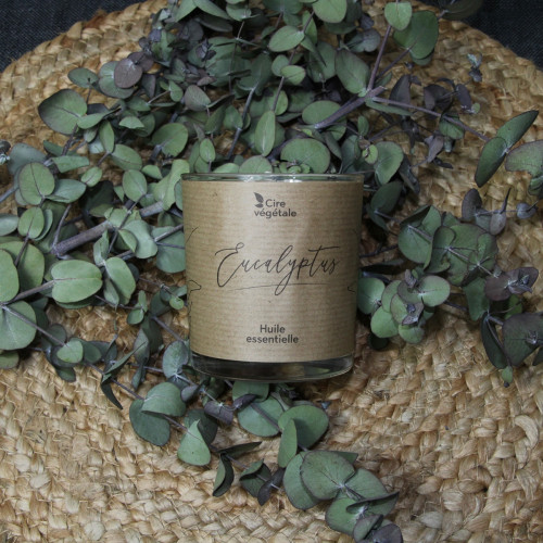 Bougie Parfum Eucalyptus Senteur pas cher caliptus