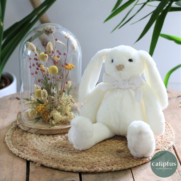 Peluche Lapin Blanc Oursons pas cher caliptus