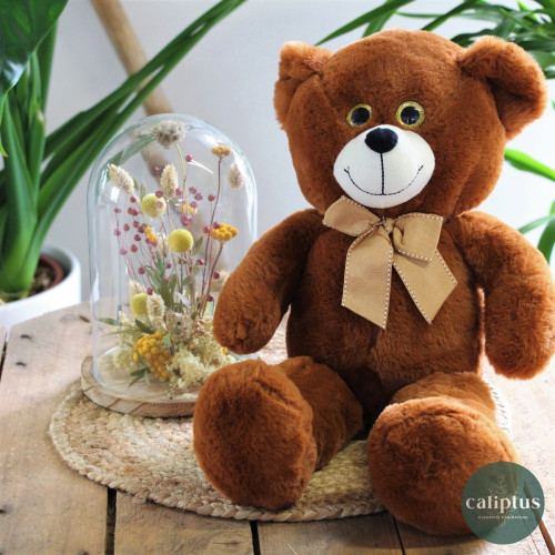 Ourson brun Peluche Oursons pas cher caliptus